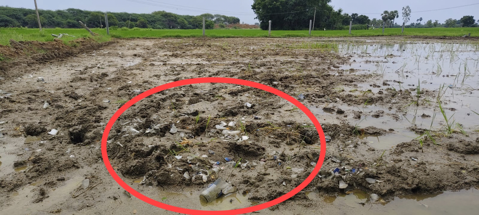 రాత్రికి రాత్రే భూమిలో సీసా ముక్కలు