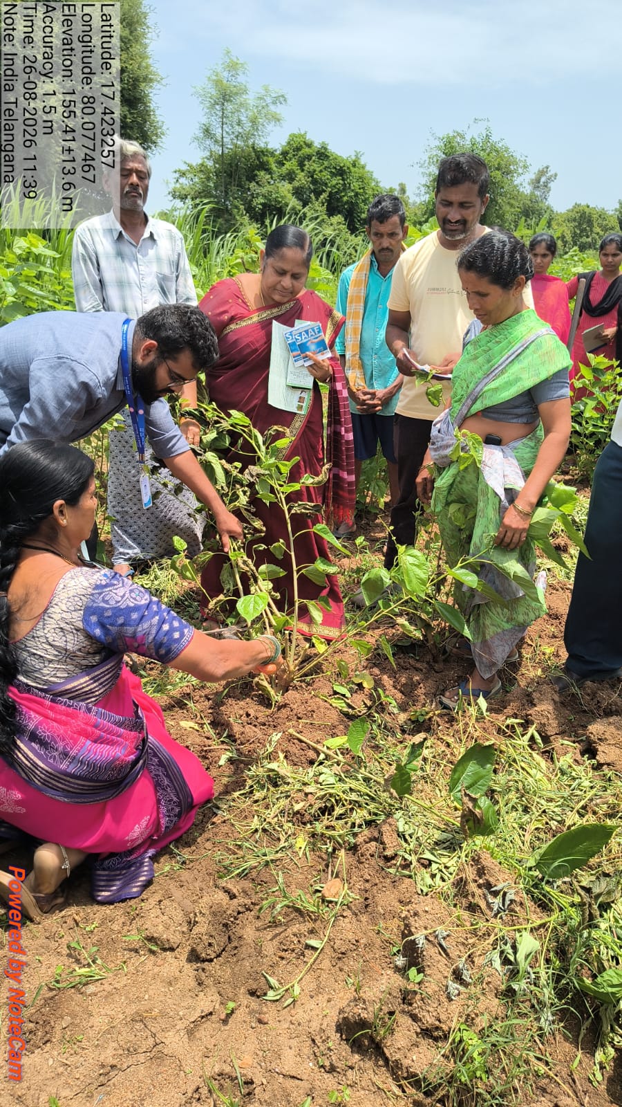 మల్బరీ సాగుతో ఎకరానికి రూ. 2 లక్షల ఆదాయం