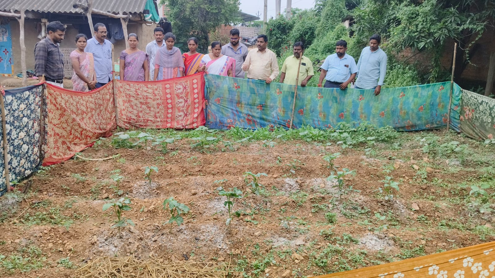 రోజువారి అవసరము ఉండే కూరగాయల పంటలు సాగు చేయాలి