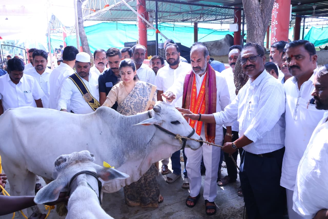 రాజన్న ప్రసాదంగా కోడెల పంపిణీ